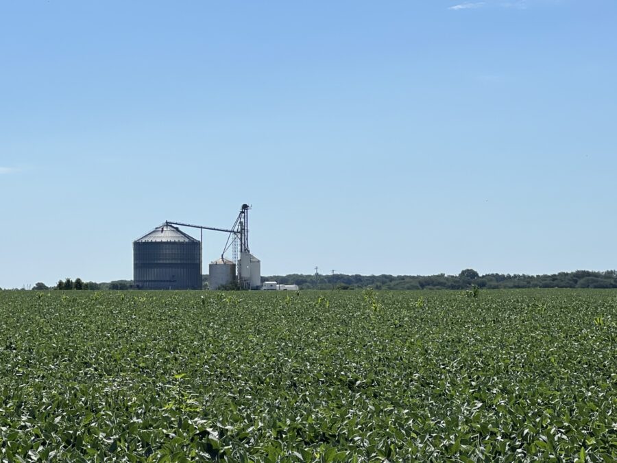 farm, field