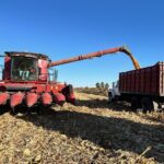 Growers Advised to Approach Markets with Caution