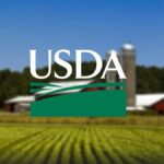 USDA Acreage Report Comparisons to Expectations and Intensions