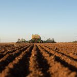 To Plant or Not to Plant