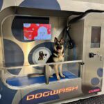 Whisker Wash Brings Self-Serve Dog Bathing to Monmouth