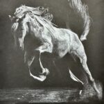 Monmouth-Roseville Students Earn Top Honors at Town and Country Art Show